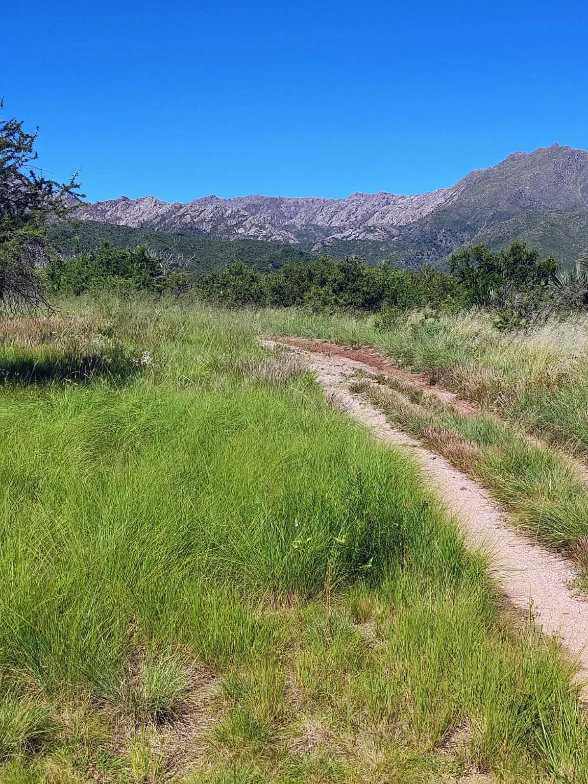 Sendero serrano en zona de Merlo